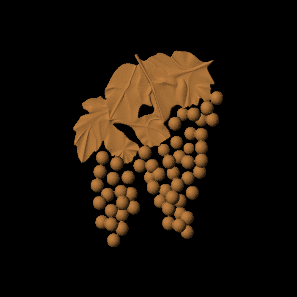 Beautiful Grapes