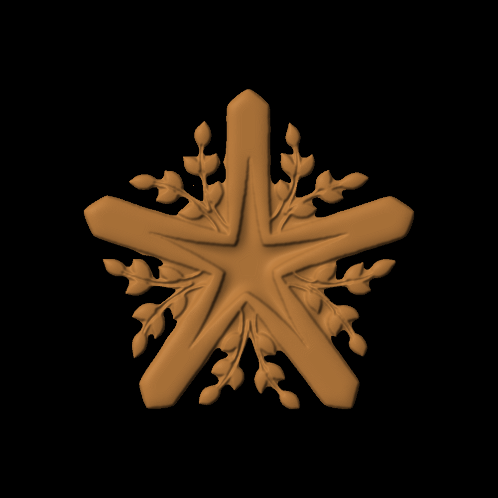My Favorite Star