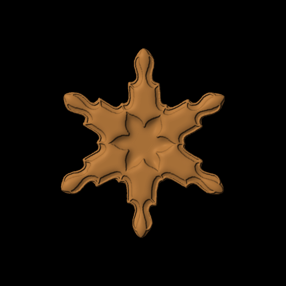 Star Fluer