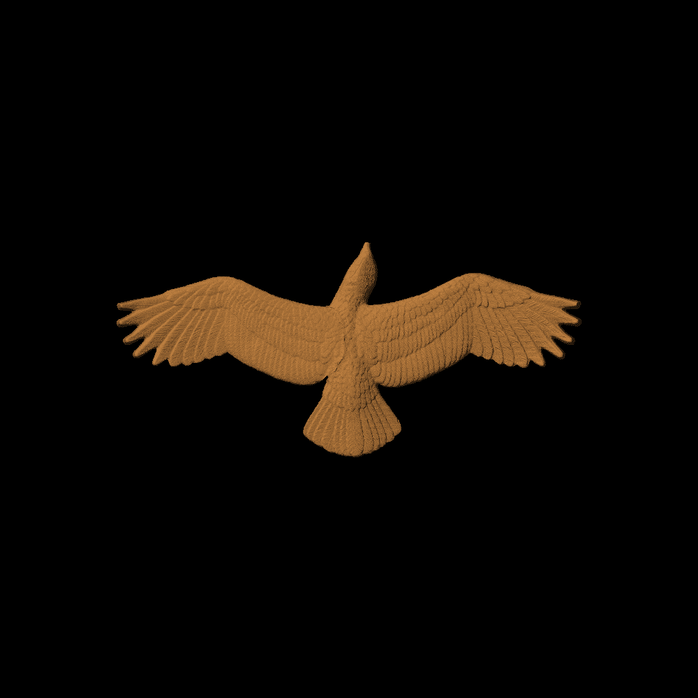 Eagle or Hawk Soaring