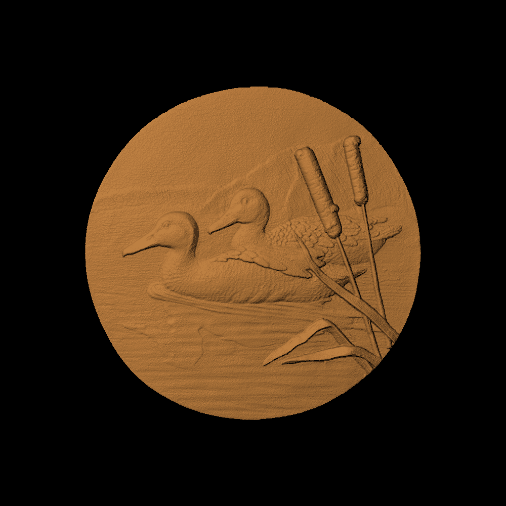 Duck Circle