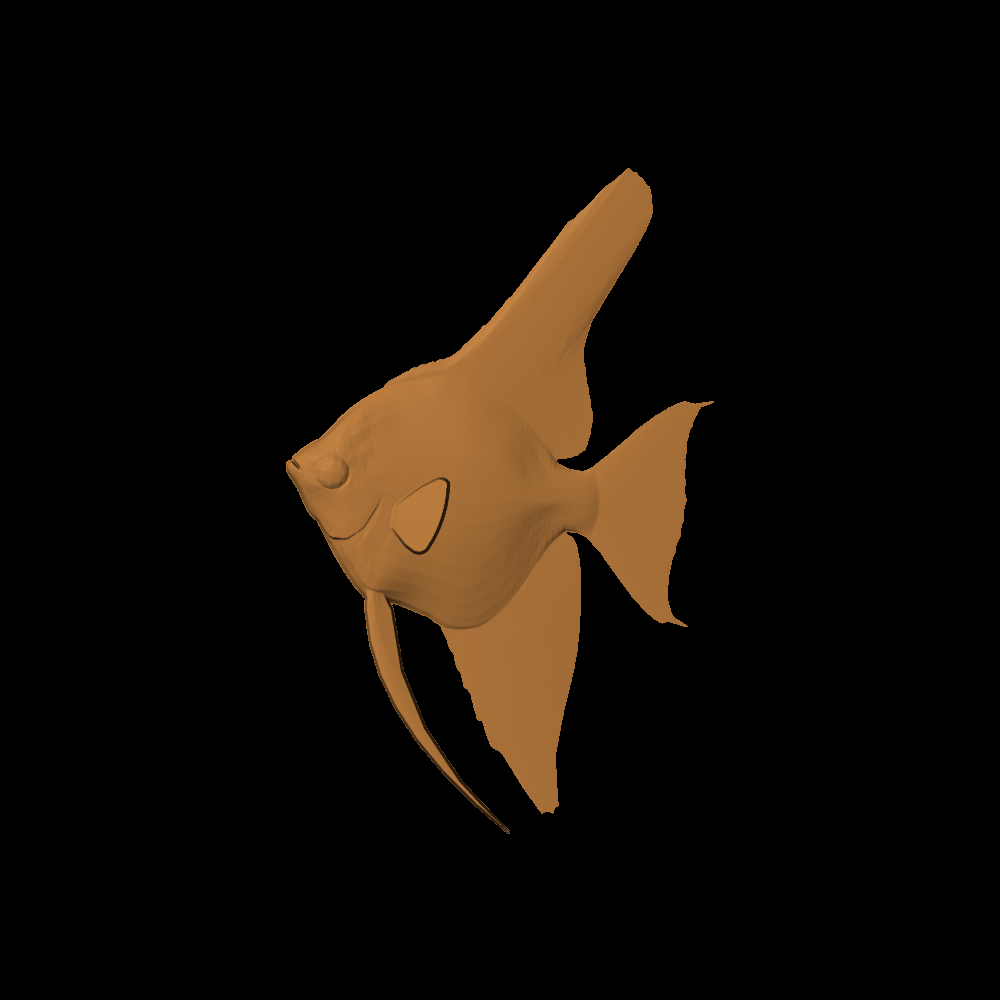 Angelfish 001 - CSF