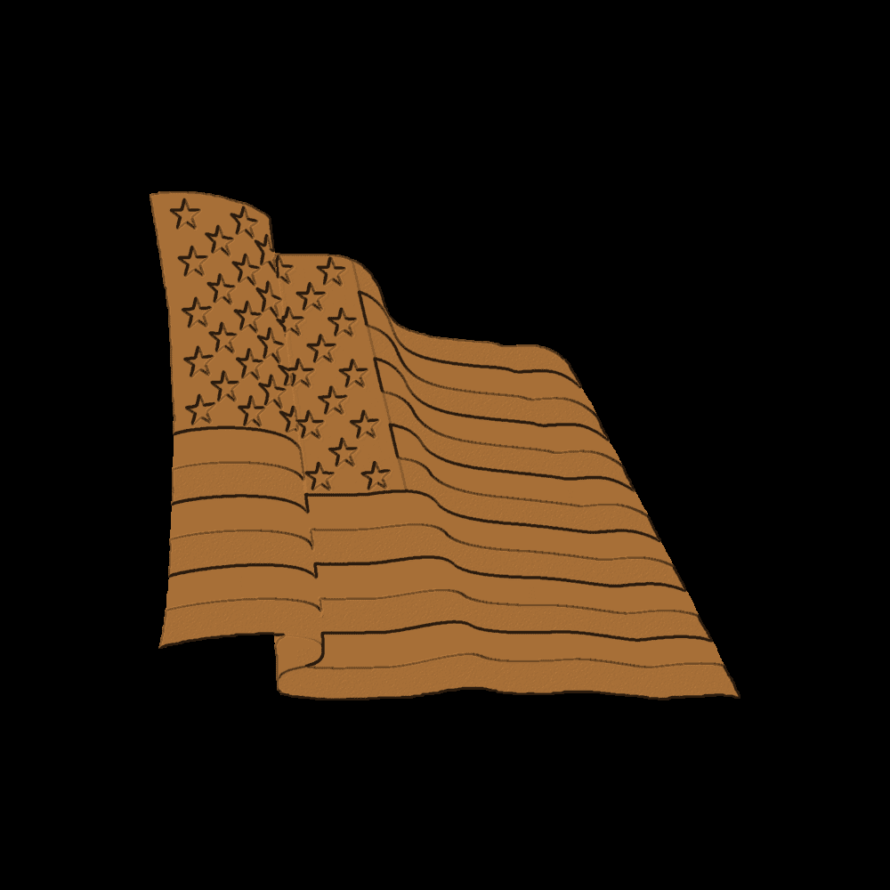 Waving Flag 001 - CSF