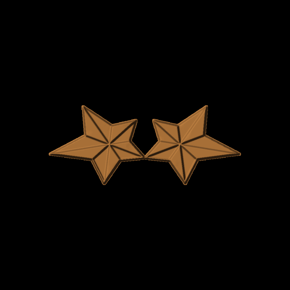 Mirrored Stars - CSF