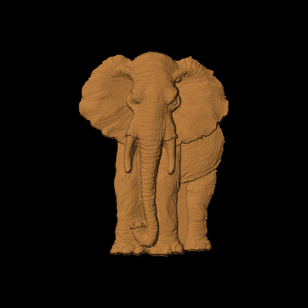 Elephant - Front View - 1