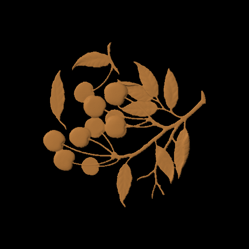 CherryBranches