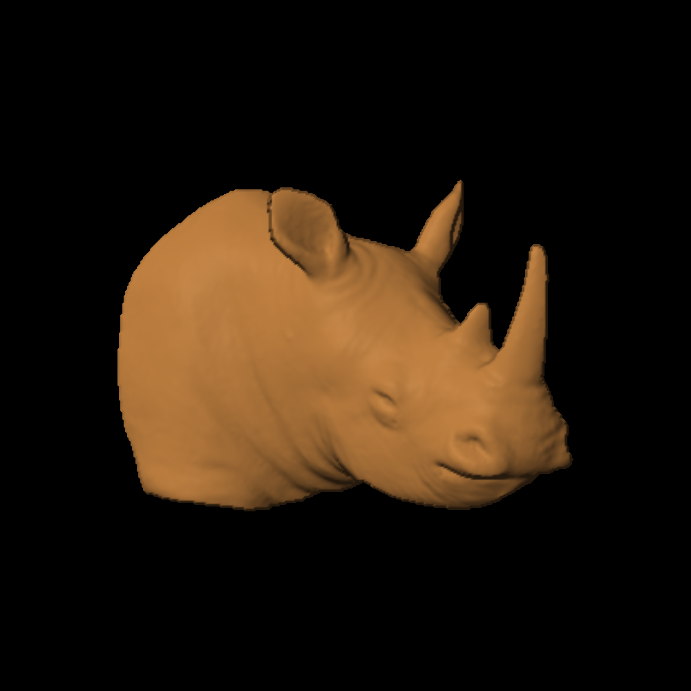 Rhinoceros Head