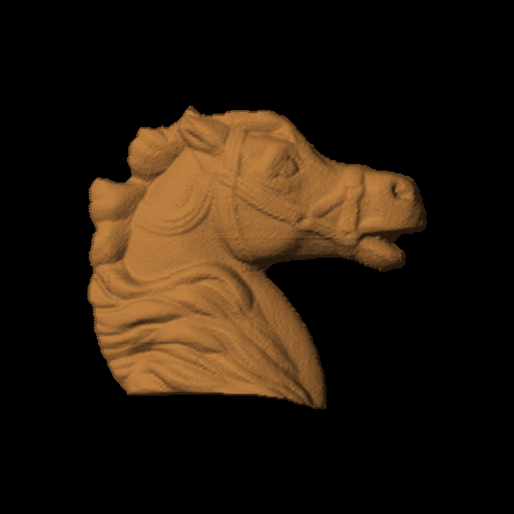 Horse Head - 2