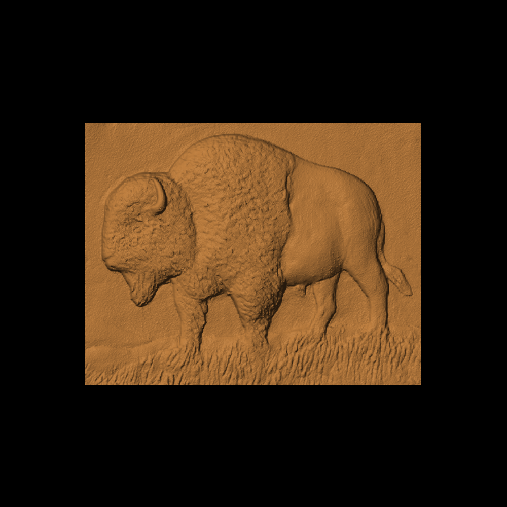 Buffalo Scene