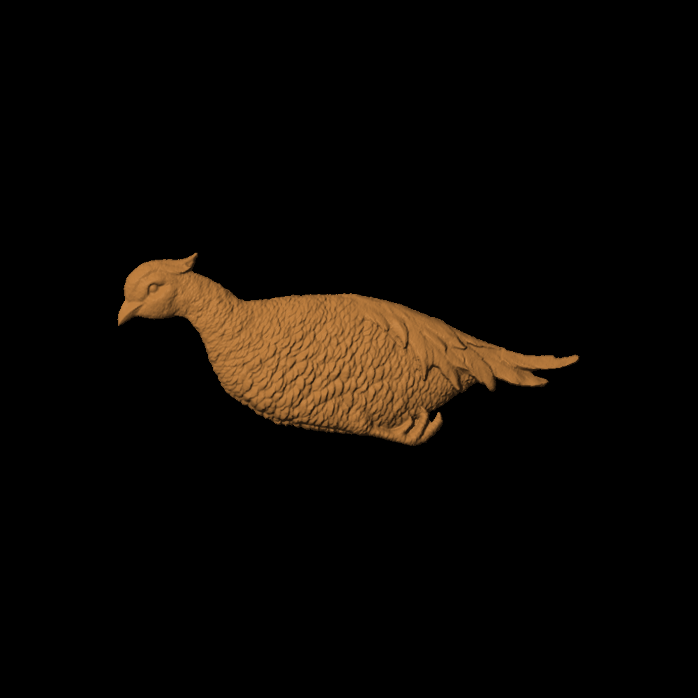 A Pheasant