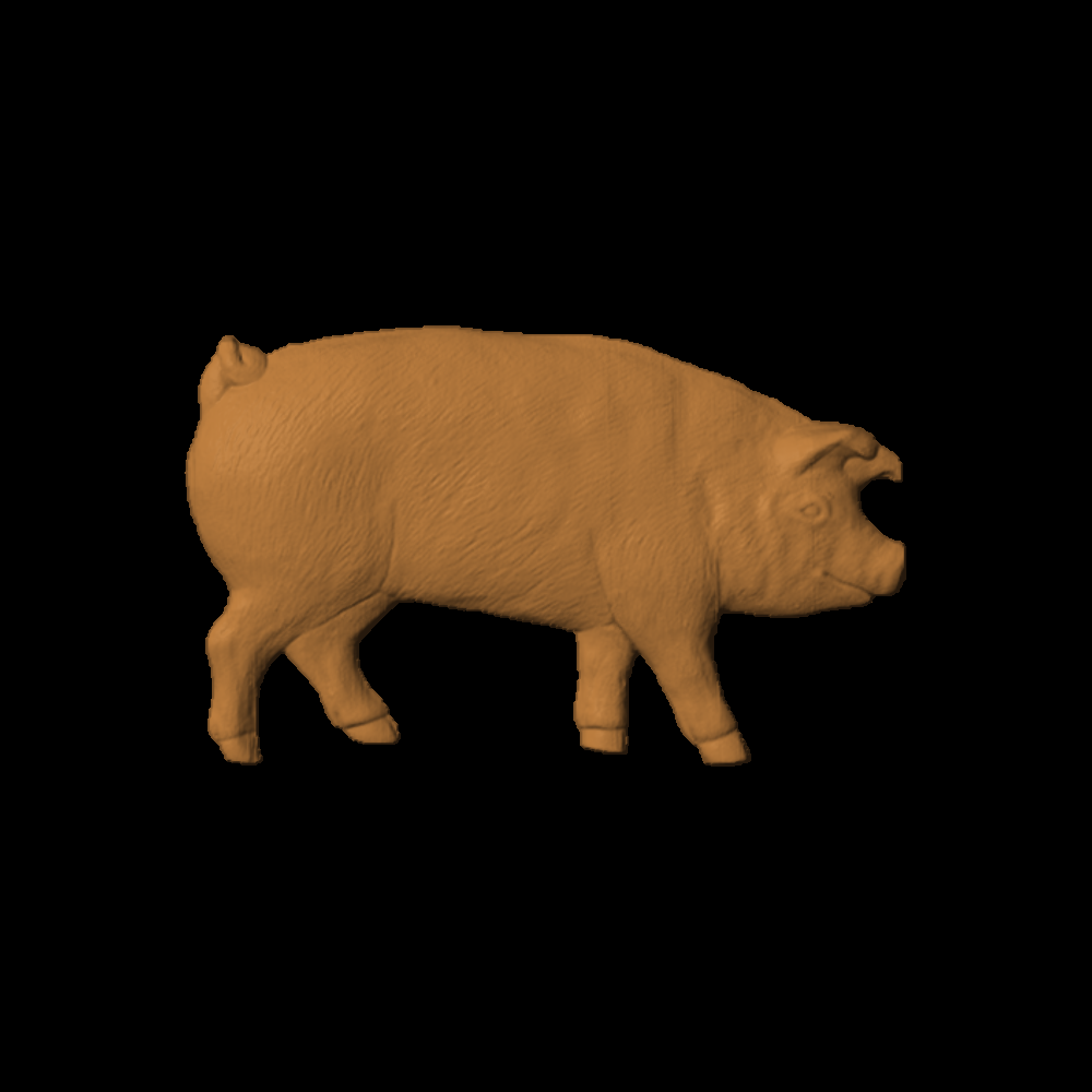 PigLarge