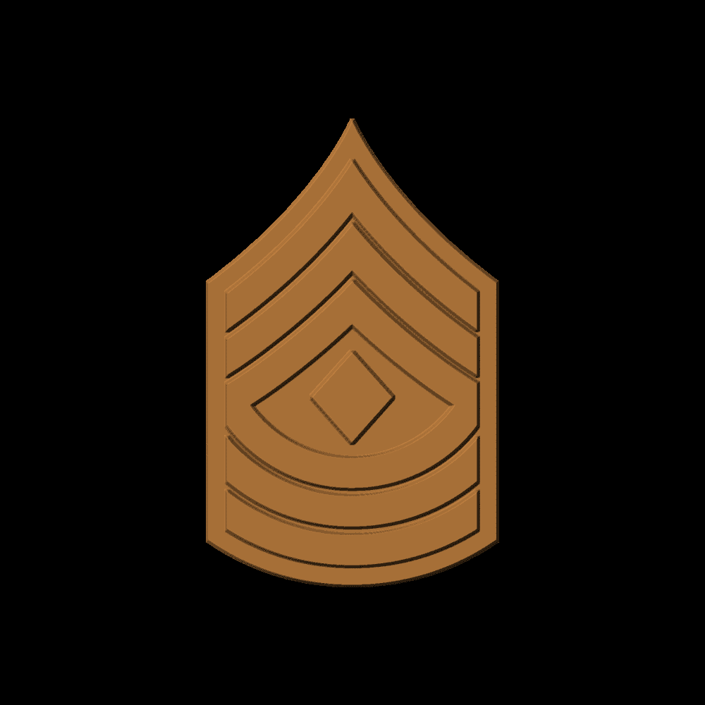 First Sergeant E8 Rank