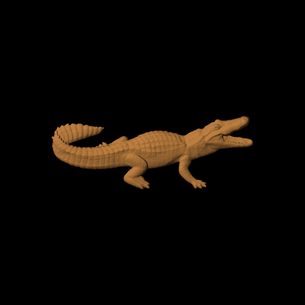 Alligator22x6