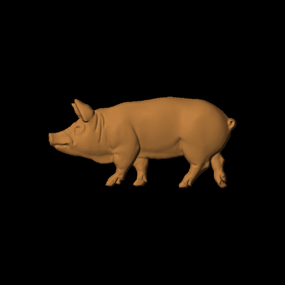 Pig_2x4_2