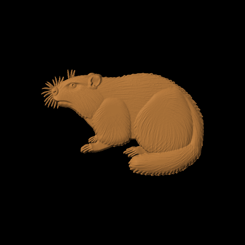 Groundhog Pattern