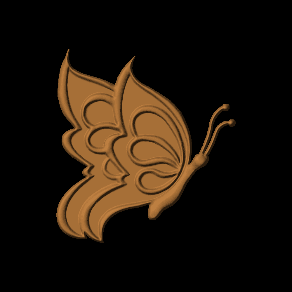Butterfly-04