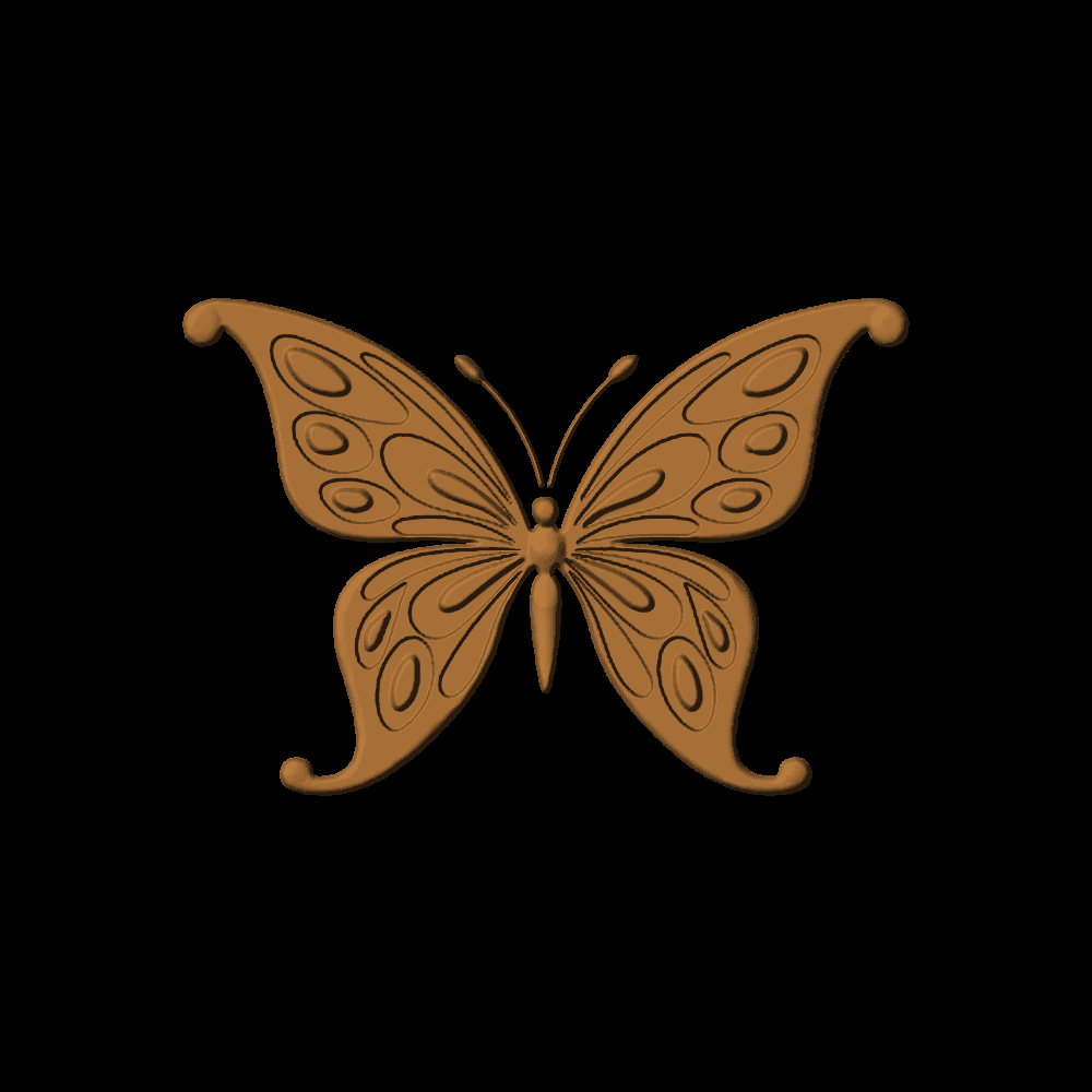 Butterfly-05