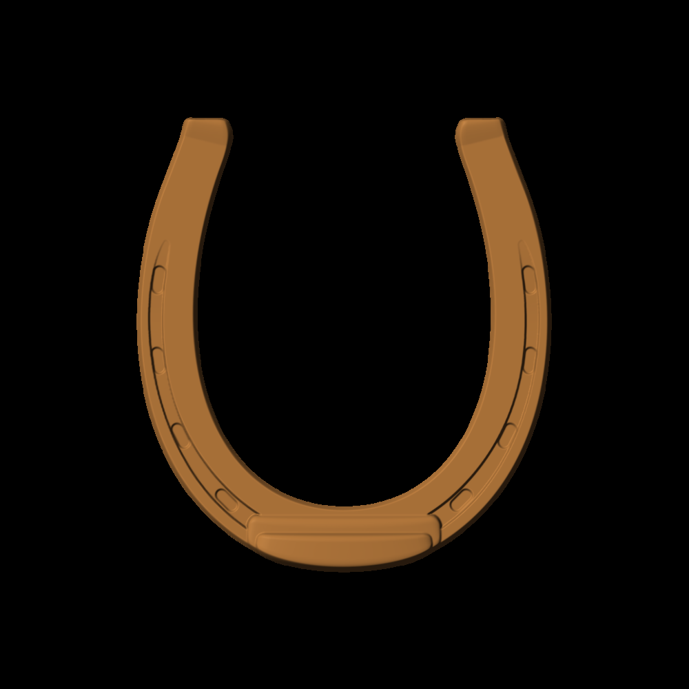 Horseshoe_5x53_1