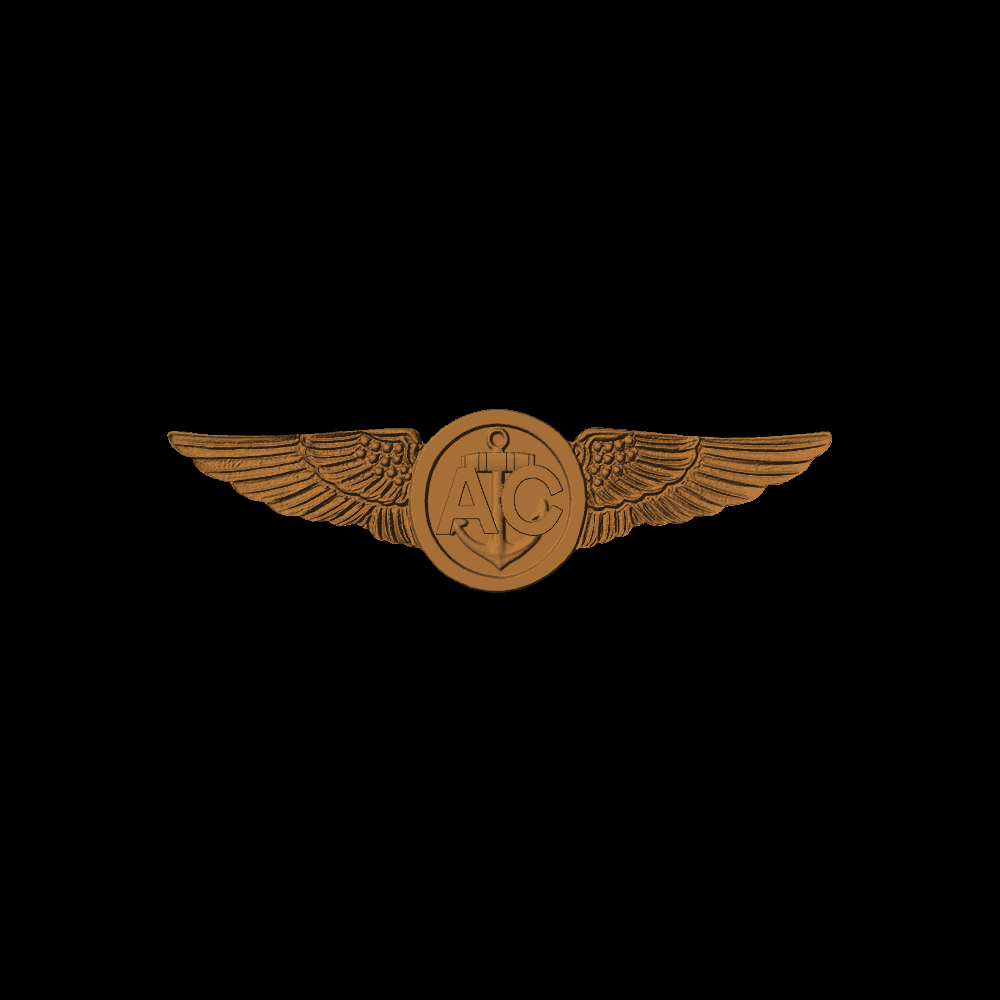 Navy-Aircrew Wings