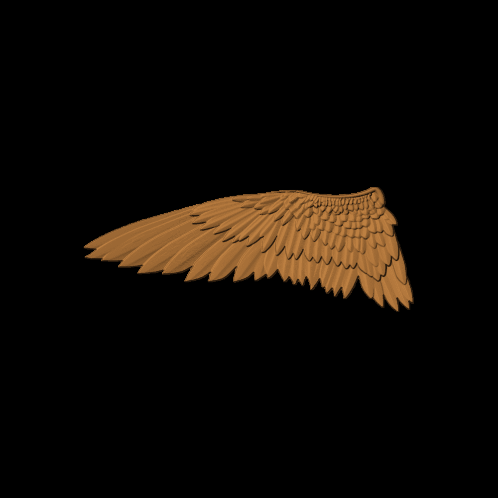 Hawk Wing