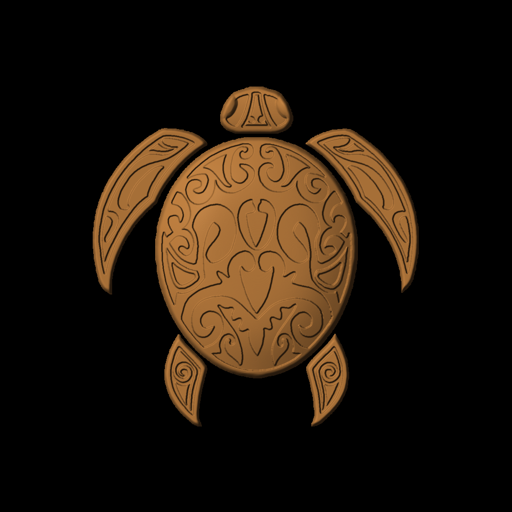 Turtle-04