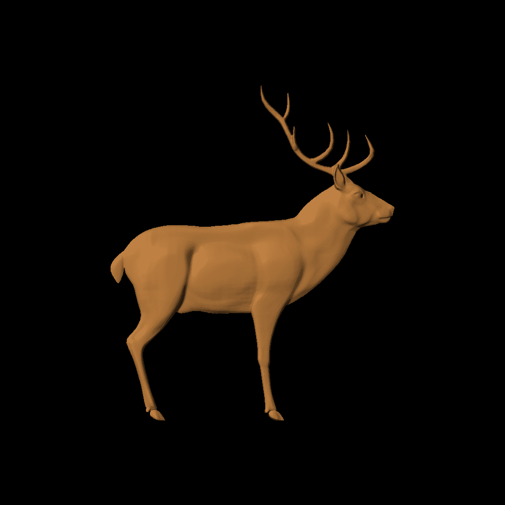 Reindeer