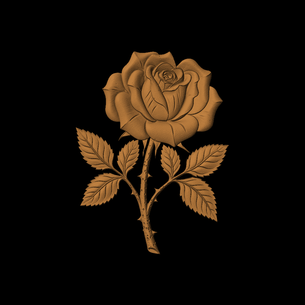 Rose With a Stem